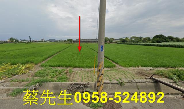 雲林法拍農地-1