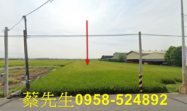 雲林法拍農地-1