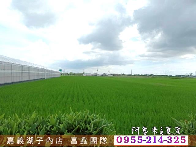 嘉義水上農地-6