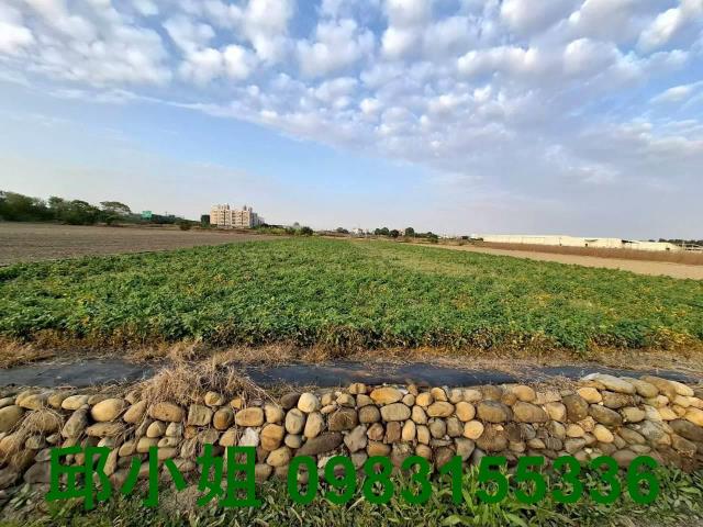 嘉義水上農地-2