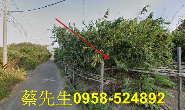 土庫農地法拍-12