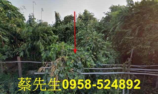 土庫農地法拍-13