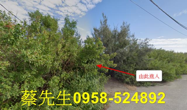 四湖法拍農地-1