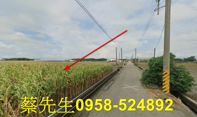 東勢鄉法拍農地-4