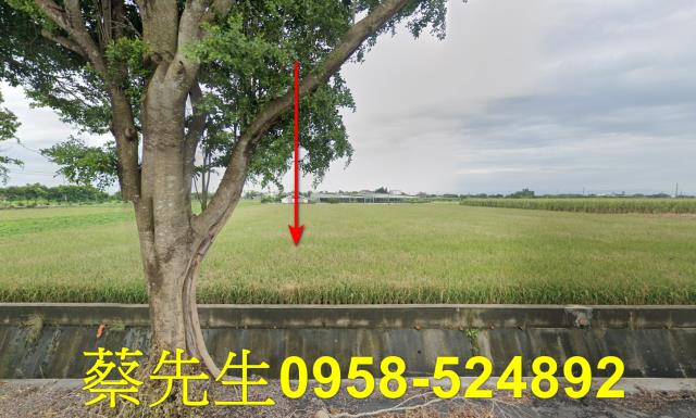 東勢鄉法拍農地-1