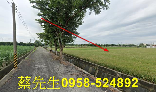 東勢鄉法拍農地-6
