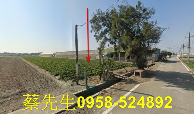 崙背農地拍賣-13