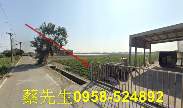 崙背農地拍賣-6
