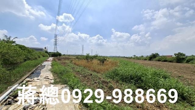 新市農地-3