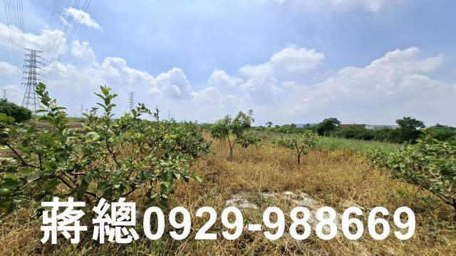 新市農地-9