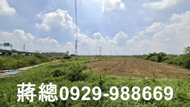 新市農地-11