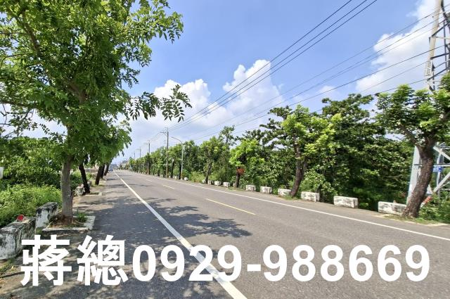 新市農地-6