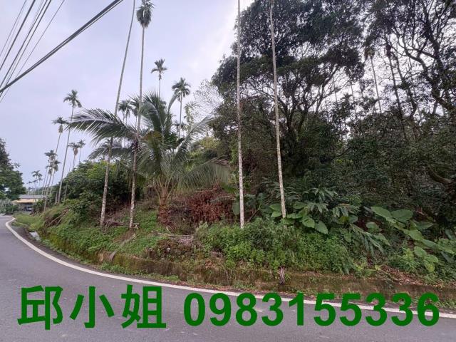 嘉義中埔農地-1