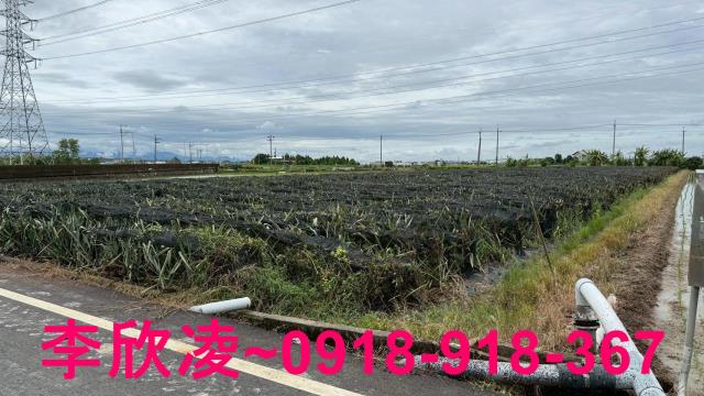 嘉義民雄農地-6