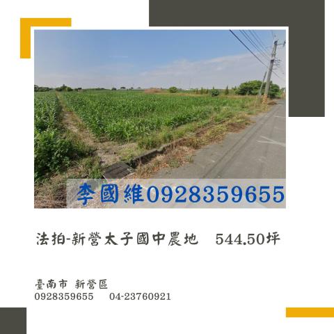 新營法拍農地-1