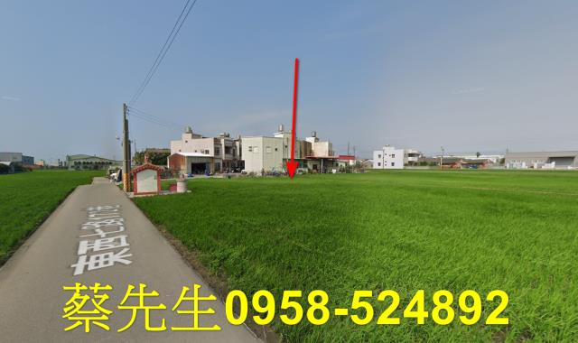 大安區法拍農地-14
