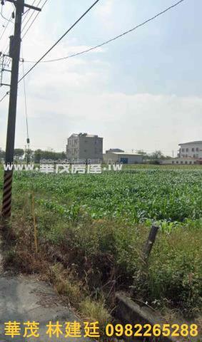 台南新營法拍農地-4