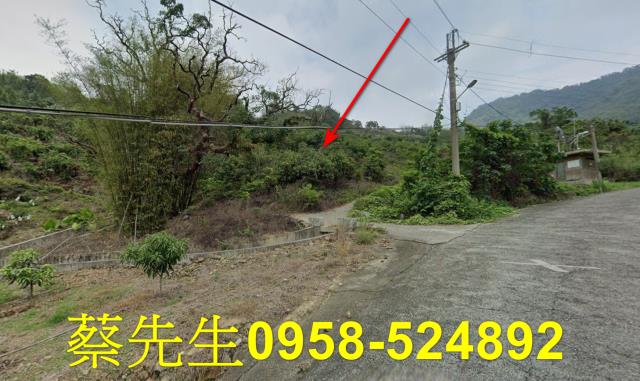 台南南化拍賣農地-12