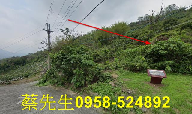 台南南化拍賣農地-6