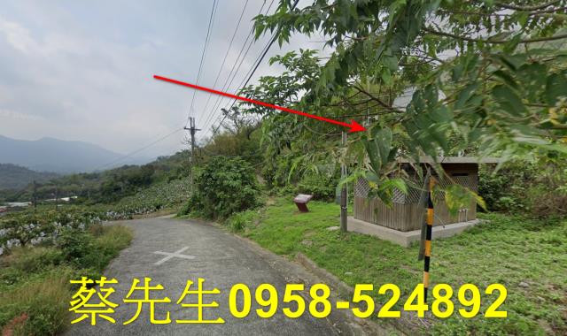 台南南化拍賣農地-7