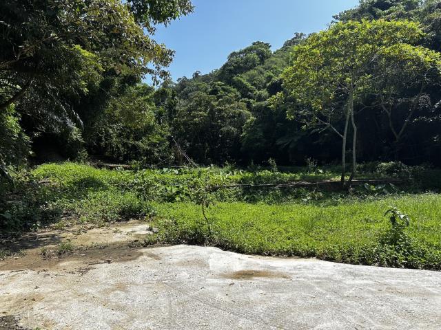 頭屋農地-3