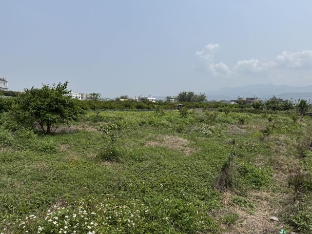苗栗農地-3