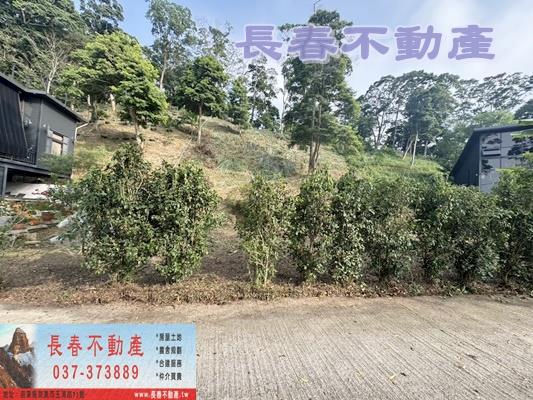 公館農地-2
