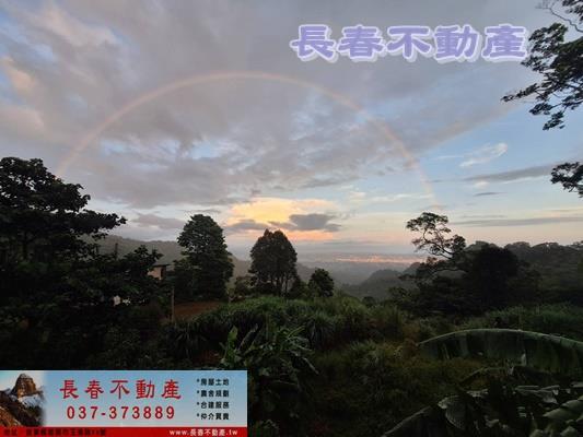 公館農地-3