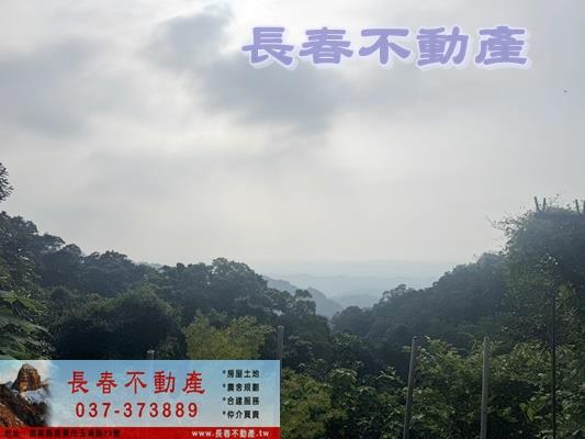 公館農地-4