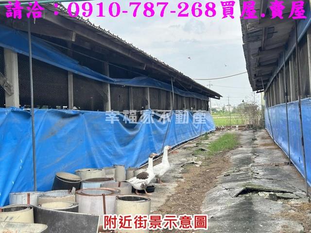 台南後壁農地-3