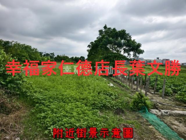 善化農地-15