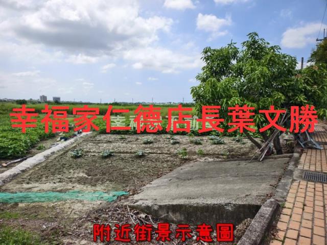 善化農地-6