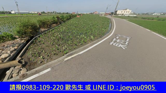 大安區法拍農地-10
