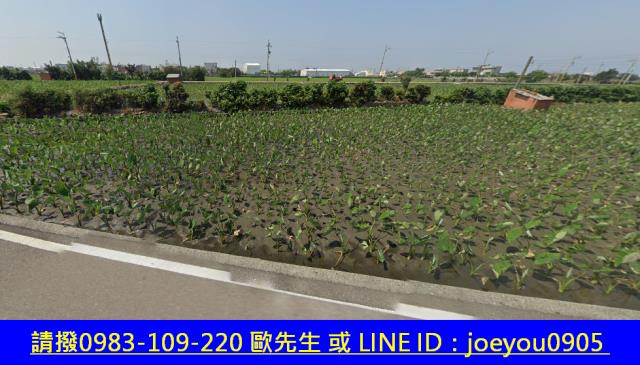 大安區法拍農地-5