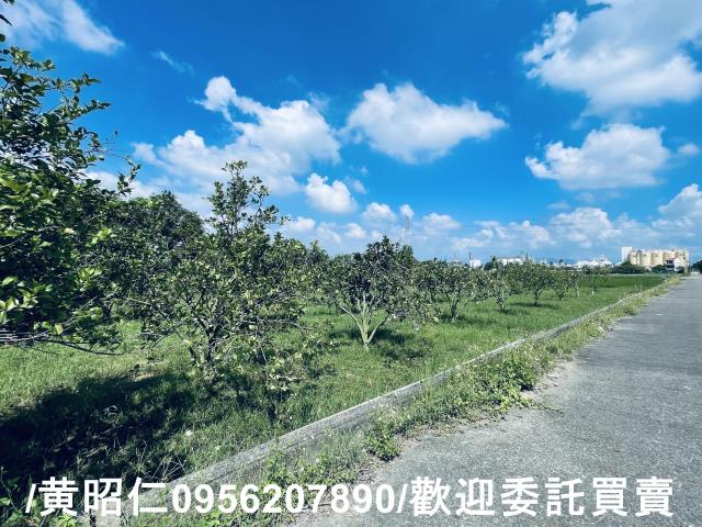 官田農地-8