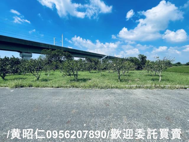 官田農地-9