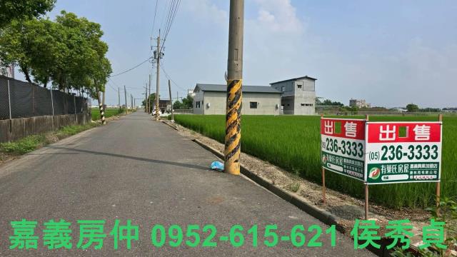 嘉義新港農地-4