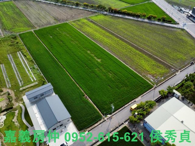 嘉義新港農地-1