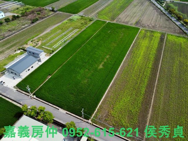 嘉義新港農地-6