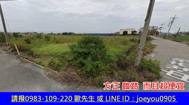 雲林四湖農地法拍-3