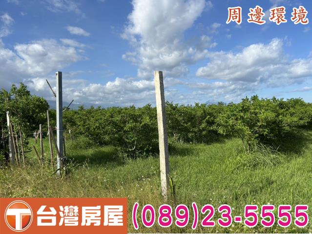 台東市農地-7