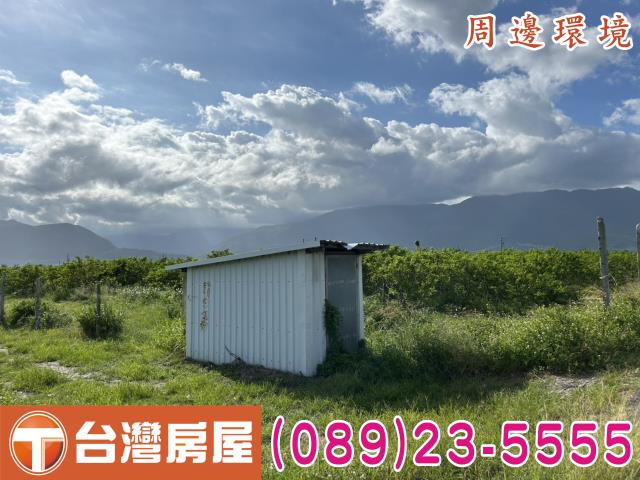 台東市農地-5