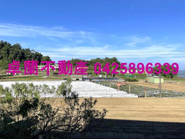 大湖農地-12