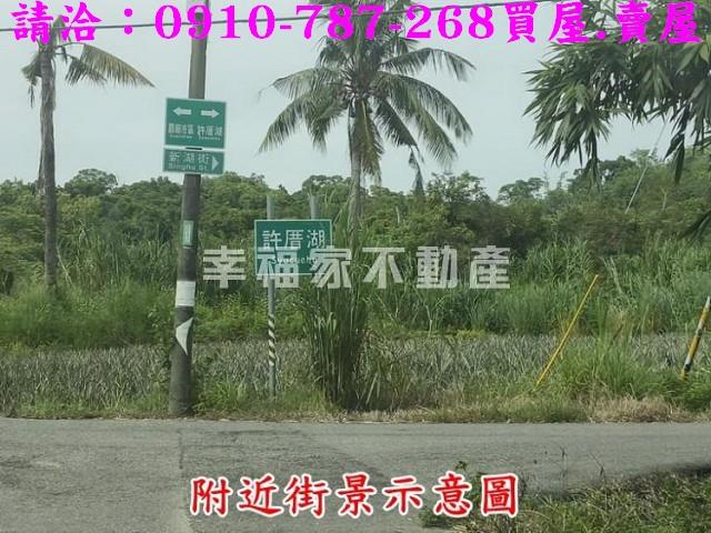 台南農地-11