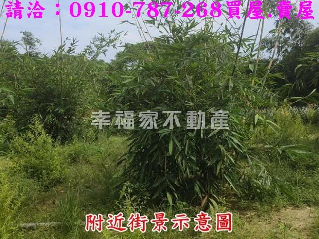 台南農地-6