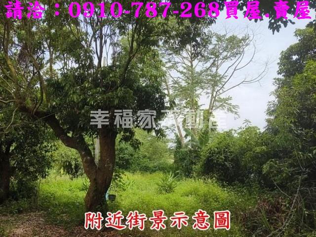 台南農地-7