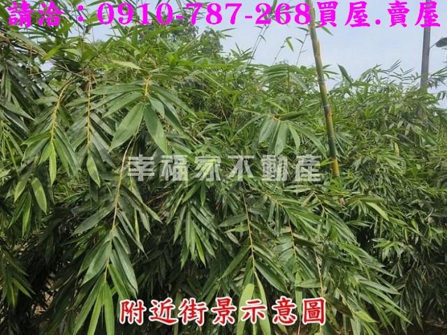 台南農地-8