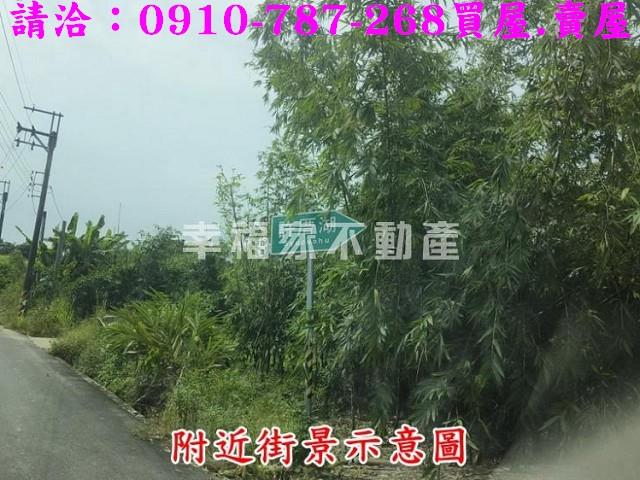 台南農地-9