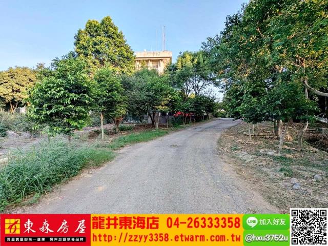 台中龍井旱-1
