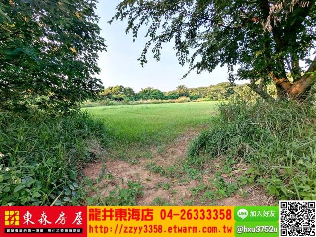 台中龍井旱-3